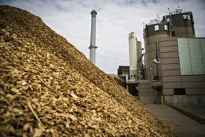 efficiency of biomass energy