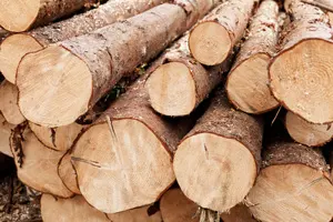 wood biomass energy logs