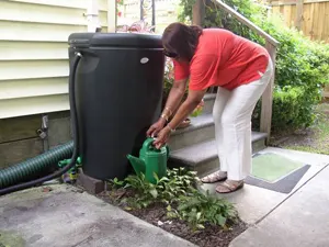 rainwater harvesting