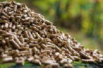 biomass energy tutorials