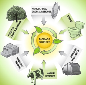biomass energy pictures