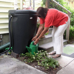 rainwater harvesting