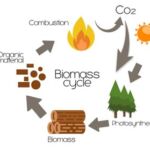 Biomass Power Cycle