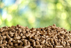 biomass energy image